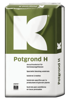 POTGROND H