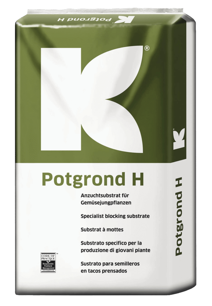 POTGROND H