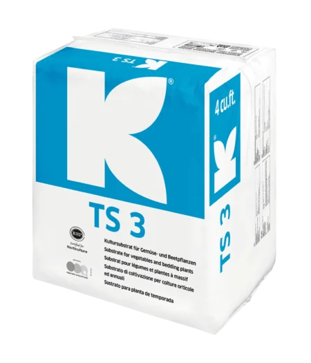 TS 3 fine