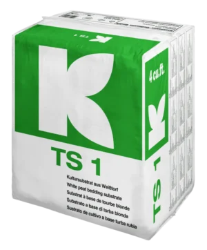 TS 1 fine