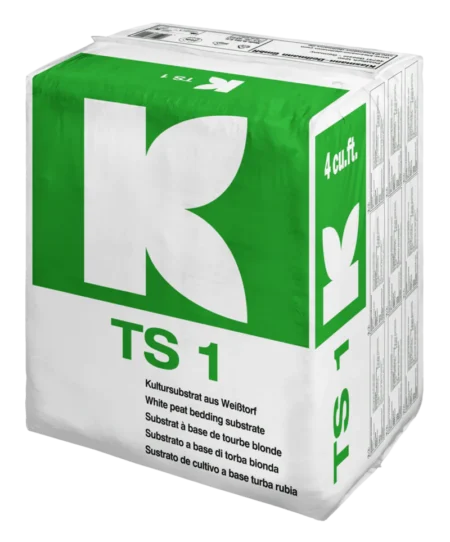 TS 1 fine