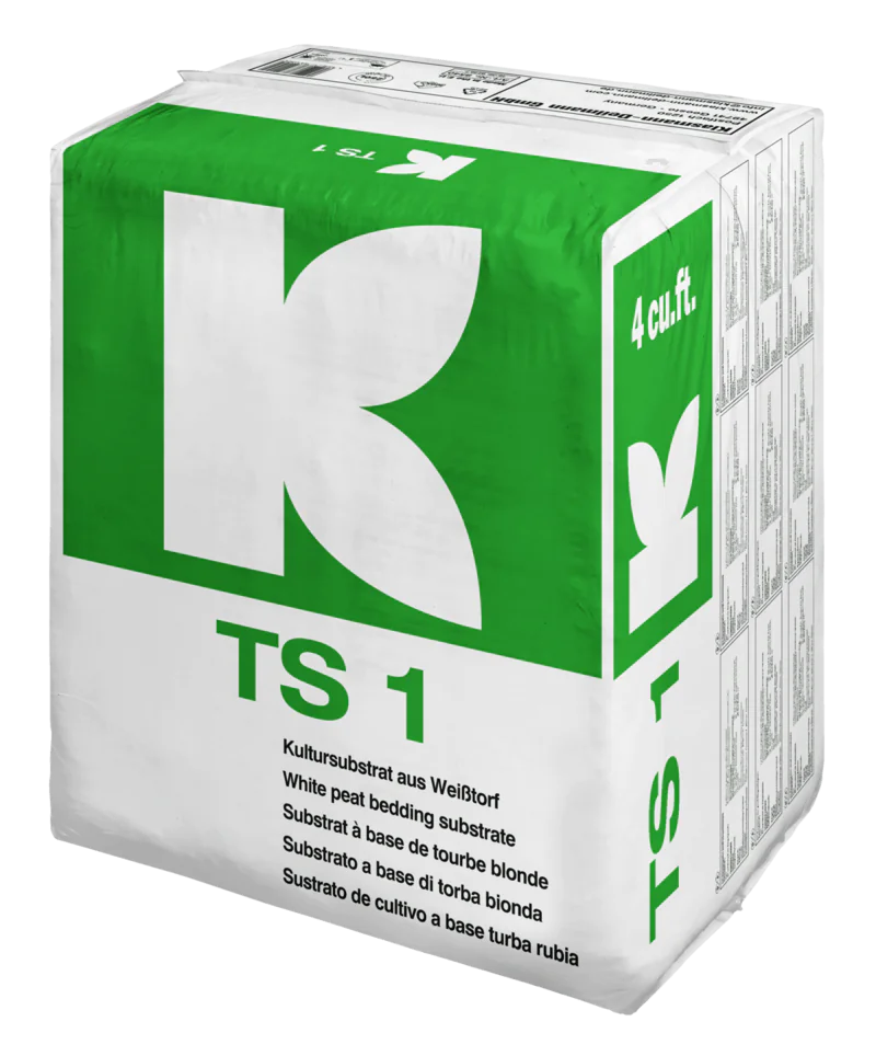 TS 1 fine