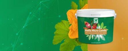 Haifa Micro Combi 1 kg